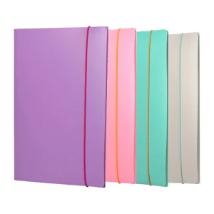 fascikla-pvc-fellowes-sa-gumicom-pastel Fascikla PVC Fellowes sa gumicom – pastel